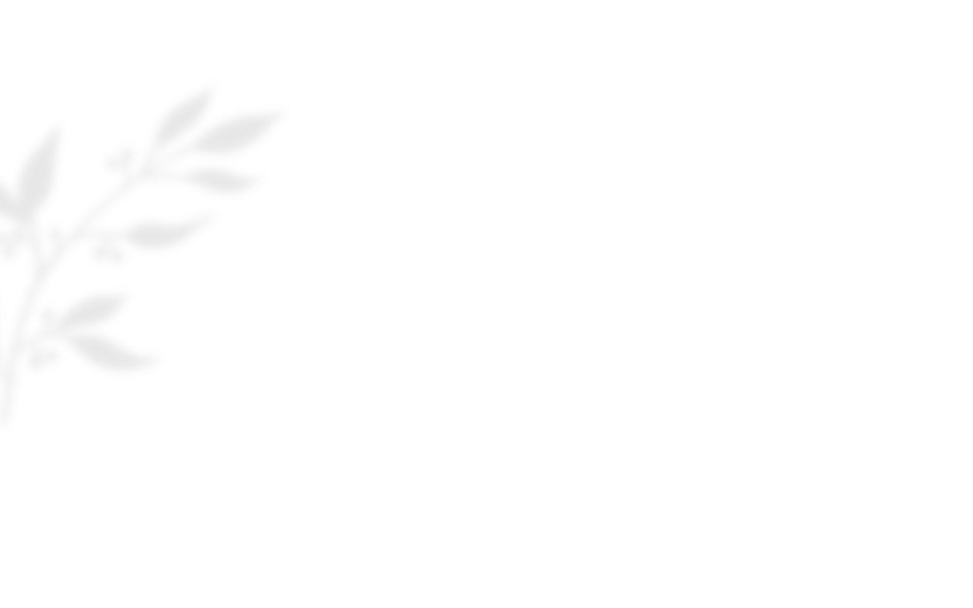 https://floraandmarcaurelienwedding.com/wp-content/uploads/2020/10/shadow_leaves_03.png