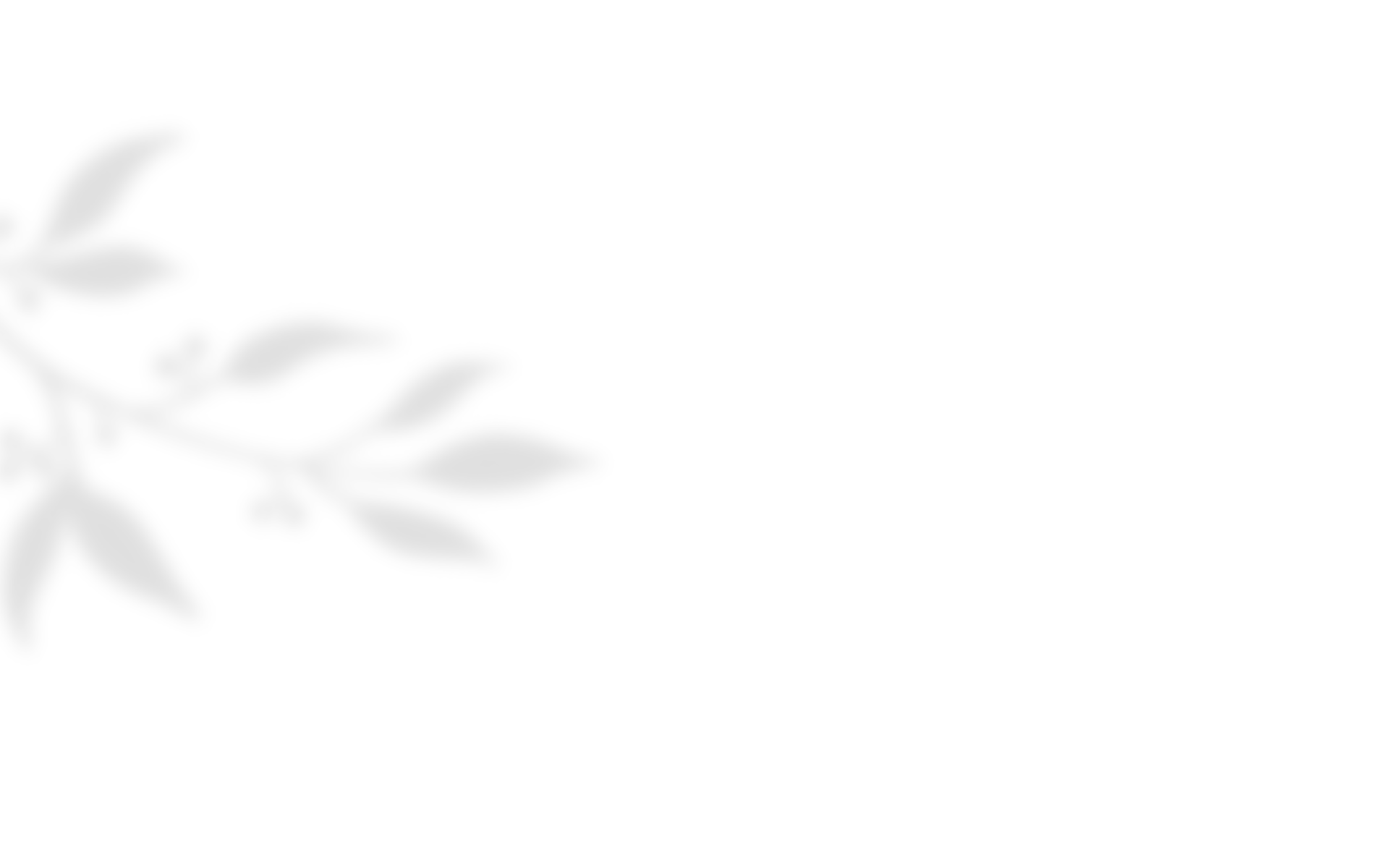 https://floraandmarcaurelienwedding.com/wp-content/uploads/2020/10/shadow_leaves_04.png